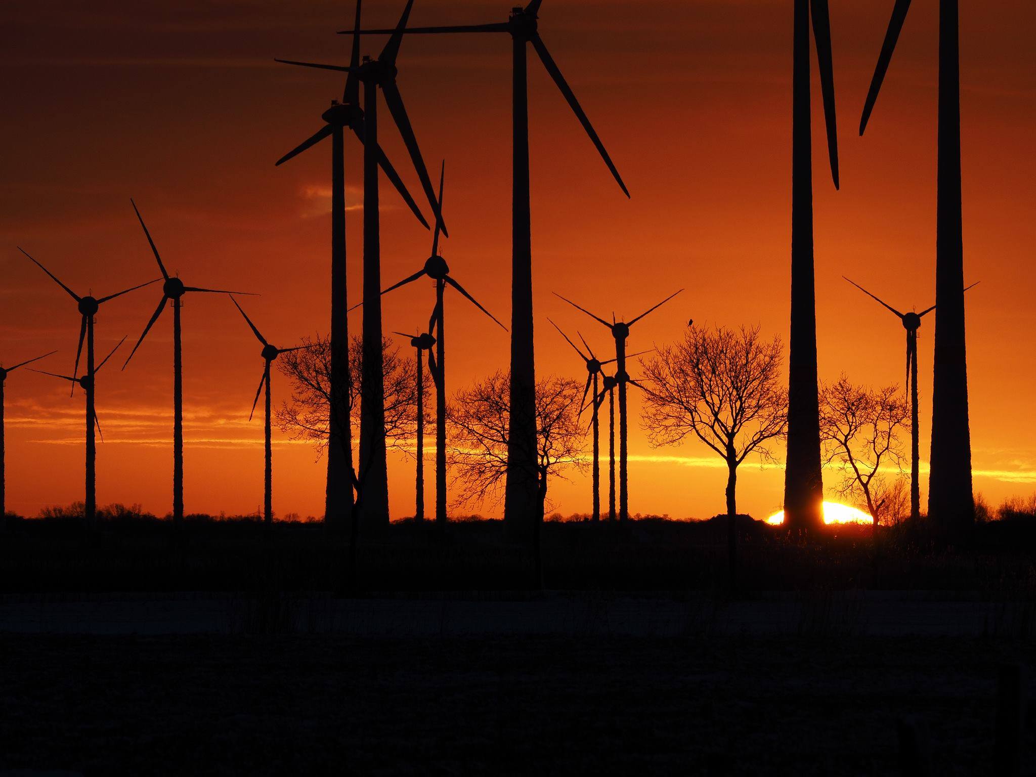 in einer Welt vom Wahnsinn umgeben